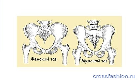 Как форма таза влияет на посадку юбки-карандаш и прямой юбки?