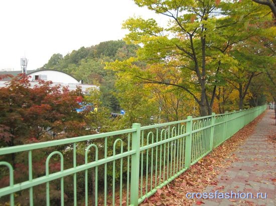 Осень в Сеуле