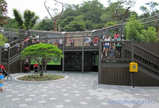 Сеульский зоопарк вольеры тигров