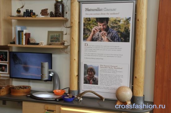 "Nature center" в городе Лос Аламос, штата Нью-Мексико