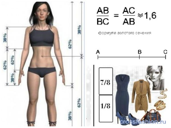 Пропорции в одежде
