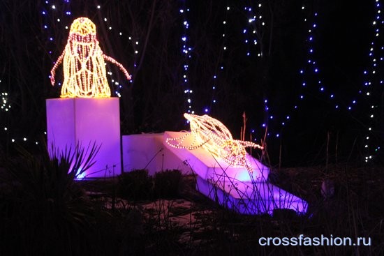 Рождественский праздник огней «River of lights» в Ботаническом саду Альбукерки