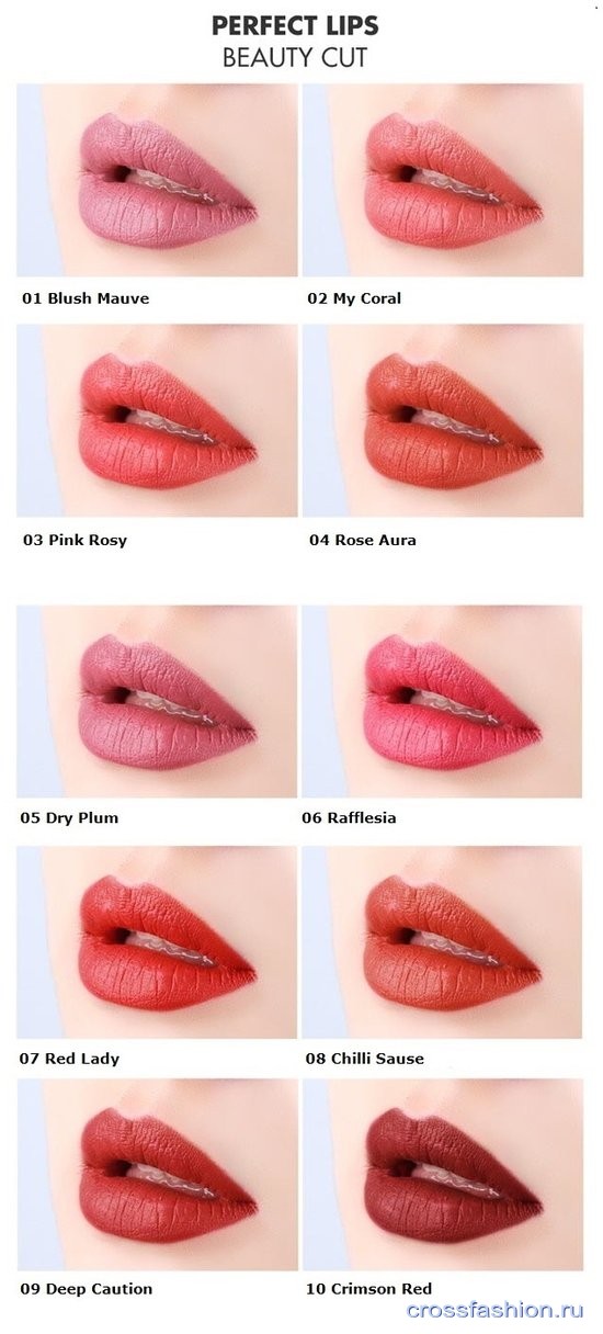 Помада Tony Moly Perfect Lips Curving Lipstick, цвет 06 Rafflesia: отзыв свотчи и макияж