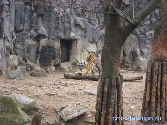 Сеульский зоопарк