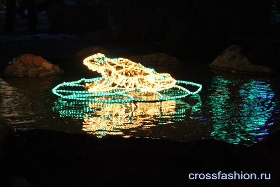 Рождественский праздник огней «River of lights» в Ботаническом саду Альбукерки