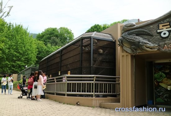 Сеульский зоопарк вольер с крокодилами