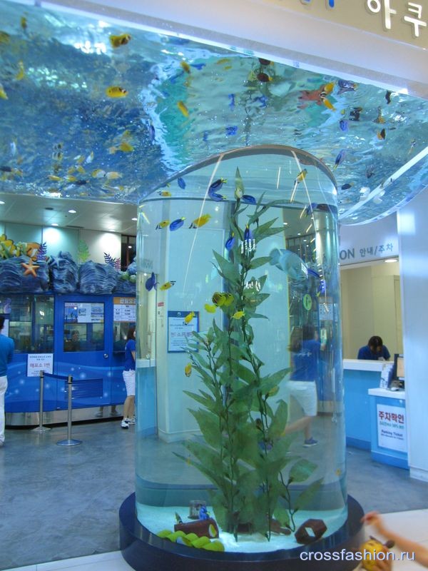 сеульский океанариум в торгово-выставочном комплексе COEX