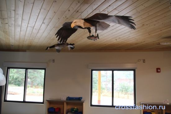 "Nature center" в городе Лос Аламос, штата Нью-Мексико