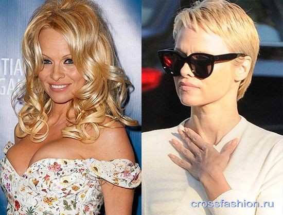 cf pamela-anderson blog