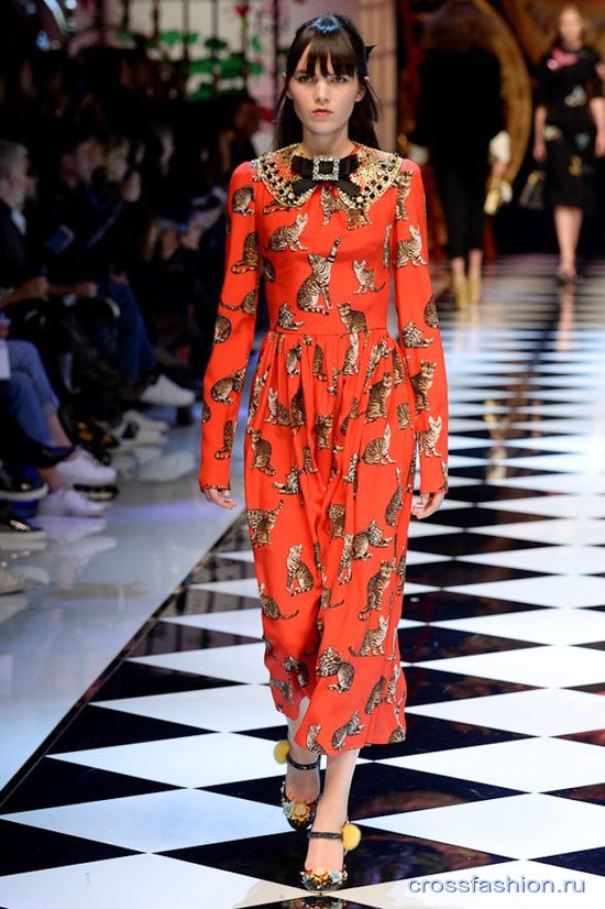 Dolce Gabbana fw 2016 2017 22