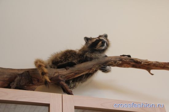 "Nature center" в городе Лос Аламос, штата Нью-Мексико